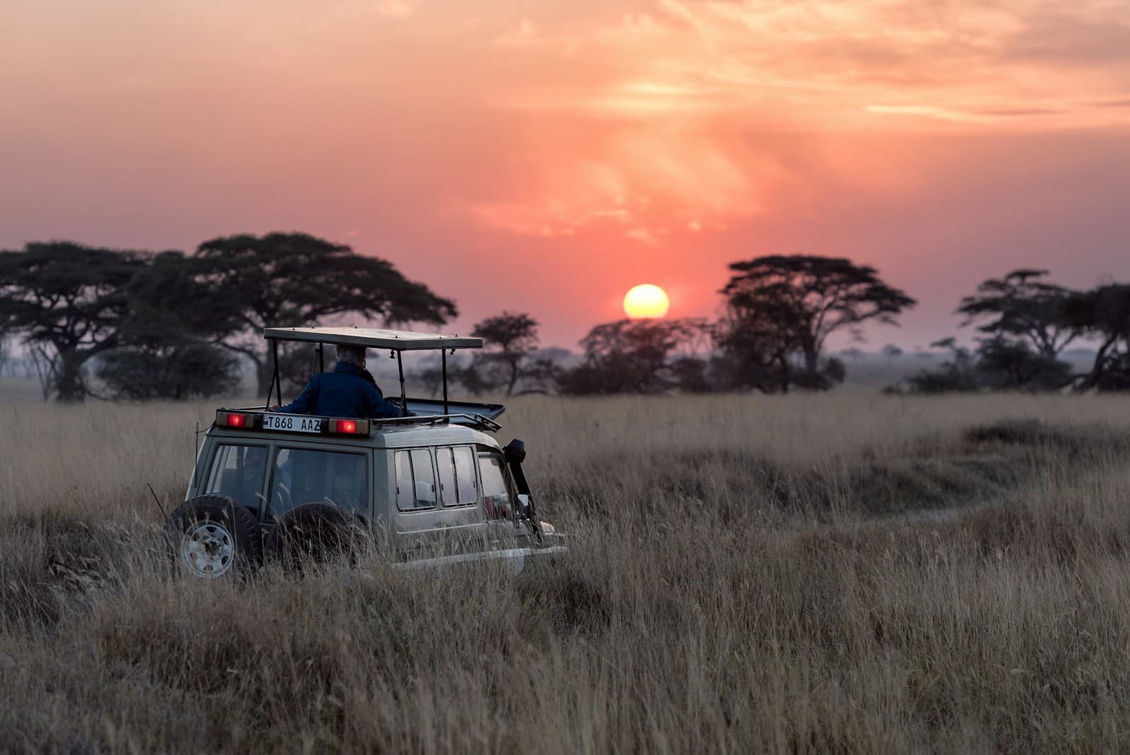 Luxury voyage to Kenya